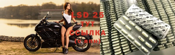 гидра Баксан