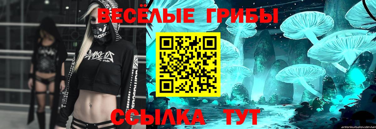 Псилоцибиновые грибы Psilocybe Ульяновск